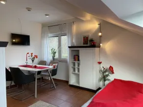 Cozy one-room apartment 15 minutes from the Nürburgring - Image 4