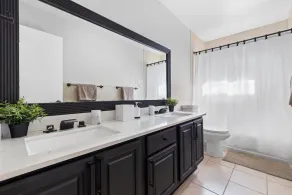 New Miami Oasis - Image 4
