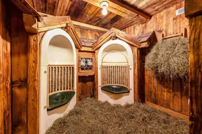 Apartamento 'Naturoase Stegerhof Iris' con vistas a la montaña, piscina compartida y sauna - Image 3