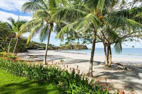 Luxurious Beachfront Mansion with a Stunning Infinity Pool in Playa Flamingo - Image 5