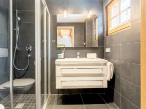 Exclusive and attractive chalet with wellness - Image 4
