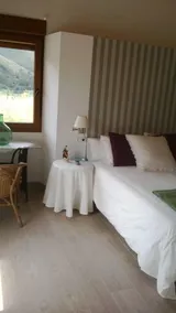 Vacker utsikt över den gröna naturen inifrån Asturiana - Image 3