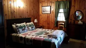\"The Cabin At Trout Run\" - Waterfront, Wifi, Firepit, Wood Stove, Screened Porch - Image 5