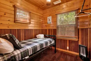 Silvertip pines #2335 - Image 5