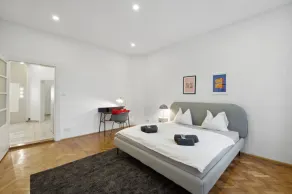 Big spacious central apartment in Vienna - Image 3