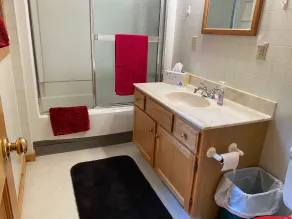Quiet \"UP NORTH\" Cabin with all the Amenities. 200 a night. - Image 2