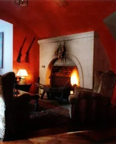 Castle, large park with pool, tennis court, horses, near Vienna and Wach wine re - Image 5