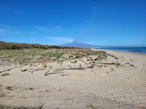 Intera Villa, ampi spazi, 5 minuti a piedi dalla spiaggia adatto famiglie gruppi - Image 5