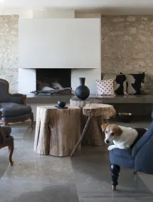 PROPRIETÀ \"BRAMAFAM\" RARA 2 Ettari. Vicino a CANNES / VALBONNE. PREZZO IVA INCLUSA! - Image 2