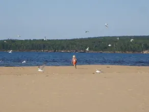 PERFECT LOCATION! Lake Superior View, AuTrain River (Kayak), Snowmobile Trail - Image 5