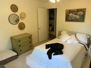 Newly renovated, relaxing space close to U of I and hospitals- high speed WiFI - Image 5