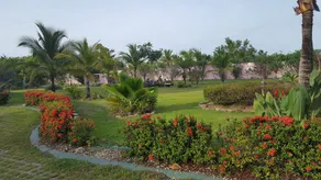 Rent a room or a house at the beach in Punta Chame - Image 4
