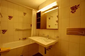 1-room flat with lake view on the 1st floor - Image 3