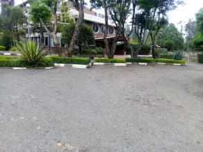 Hotel Eel - Image 5