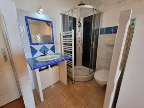 Estate, pretty farm 180m2 4 bedrooms with shower room, swimming pool, woods and private lake, fishing - Image 5