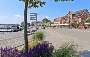 Ferienwohnung Waren (Müritz) - Image 4