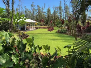 HAUS DER PALMEN - Hawaiian Paradise Park, Küste von Puna, Big Island, HI - Image 5