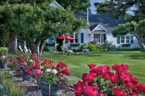 Cozy Rose Inn i det østlige Wa. Vin land ..Middle af Yakima Valleyy - Image 4