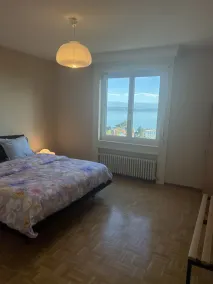 Large penthouse apartment with lake view - Image 4