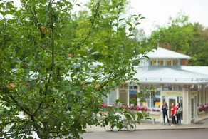 Lisebergsbyns B&B - Image 5