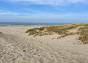 Elite Holiday Home in North Holland near Forest - Image 4