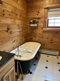 Southwest Michigan log cabin - Image 4