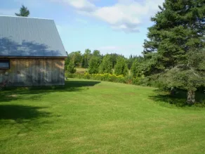 Ganzjährig Vermont Vacation Cottage - Image 5