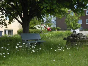 Ferienhaus-Heisser-Sand-Whg-1 - Image 4