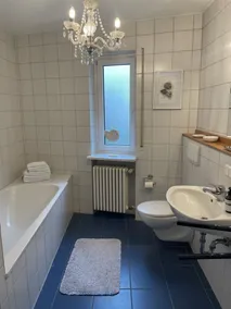 Live in the country, live like in the city and quickly reach Lake Constance 3.5 km - Image 2