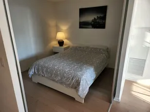 Luxury 1- Bedroom Luxury Toronto Downtown Condo - Image 5