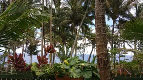 Oceanfront Cottage m / AC @ Kehena Beach, Hawaii - Image 3