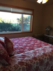 Lovely Private Sunny Cabin Home With Woods, Meadow and Wildlife.  Pet friendly. - Image 4