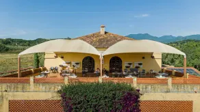 Agriturismo La Petrosa - Image 4