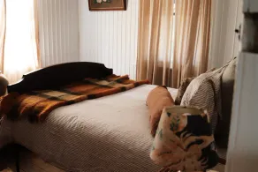 Lotte's Hjem | A 150 year old cottage in the heart of Pambula - Image 4