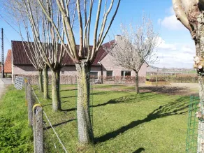 Spacious quiet farmhouse between Lys and Scheldt, Belgium - Image 2