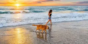 Treasure Coast Hideaway | Dogs Welcome, No Fees - Image 2