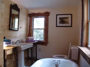 Bower Cabin- Cabin in woods on a remote pond, Romantic getaway, Green living! - Image 4