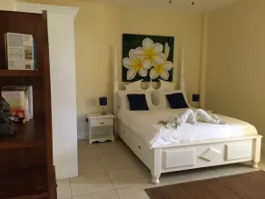 South Sea House Luxurious Apt No 1 - Image 4