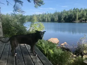 Avskilt, off-grid, Dog-Friendly Stuga på Pristine Lake - Image 5