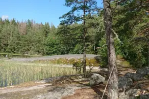 5 person feriebolig i LINKÖPING-By Traum - Image 2