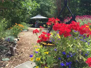 Glamping #4, Nature Immersion, River access, Butterfly Pavilion - Image 2
