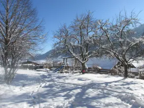Beautiful apartment with garden near ski resort - Image 3