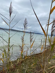 4 **** lägenhet Birnaublick i Uhldingen med sjöutsikt, inomhuspool och bastu - Image 3