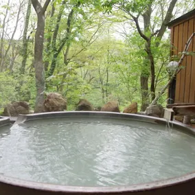 Shiobara Onsen Okushiobara Kogen Hotel - Image 3
