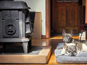Pacific Redwood Hideaway - Pristine forest, luxurious, private and pet friendly - Image 3