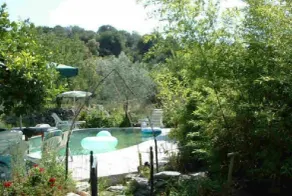 \"El Nido\" Fredlig stuga med privat pool och trädgårdar. Hundvänlig. - Image 3