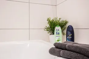 FRITZ 3 bedrooms, 2 bathrooms, 2 kitchens, 115 sqm, free wifi, box spring beds - Image 4