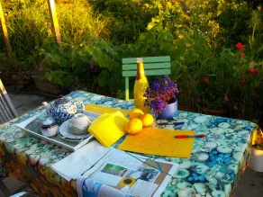 Landsted på ØKOLOGISK ORANGE finca, 40. 000m2, gr. Solterrasse, Magical Moments! - Image 5