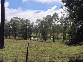 Baffle Creek Cabin, pet friendly' - Image 4