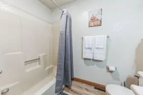 Northwoods Getaway Dog Friendly Apartment with King Beds - Image 4